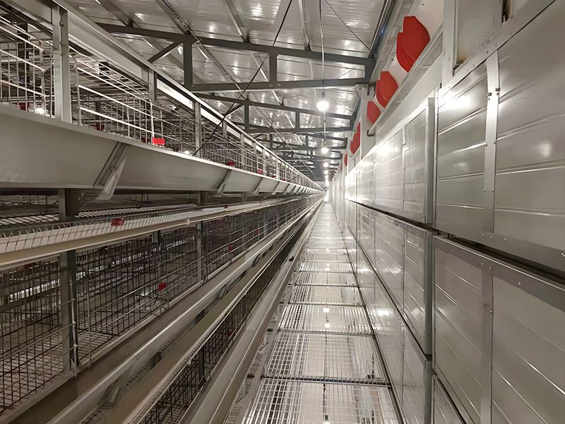 層疊式自動化養殖設備